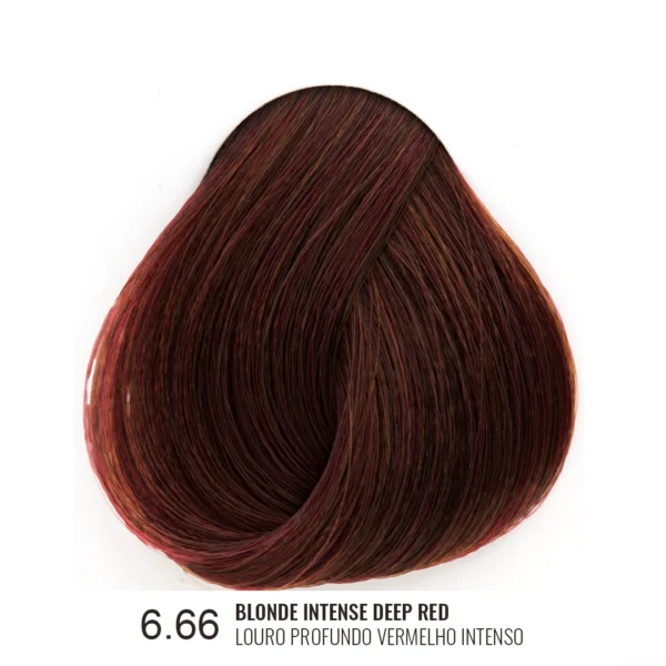 6 66 BLONDE INTENSE DEEP RED LOURO PROFUNDO VERMELHO INTENSO