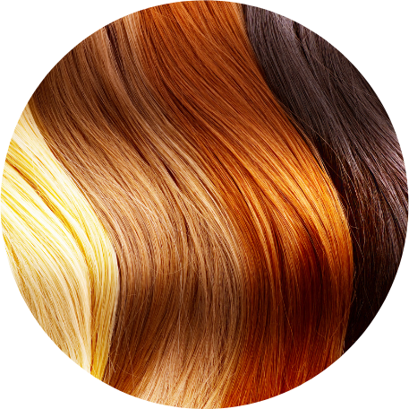 coloracao