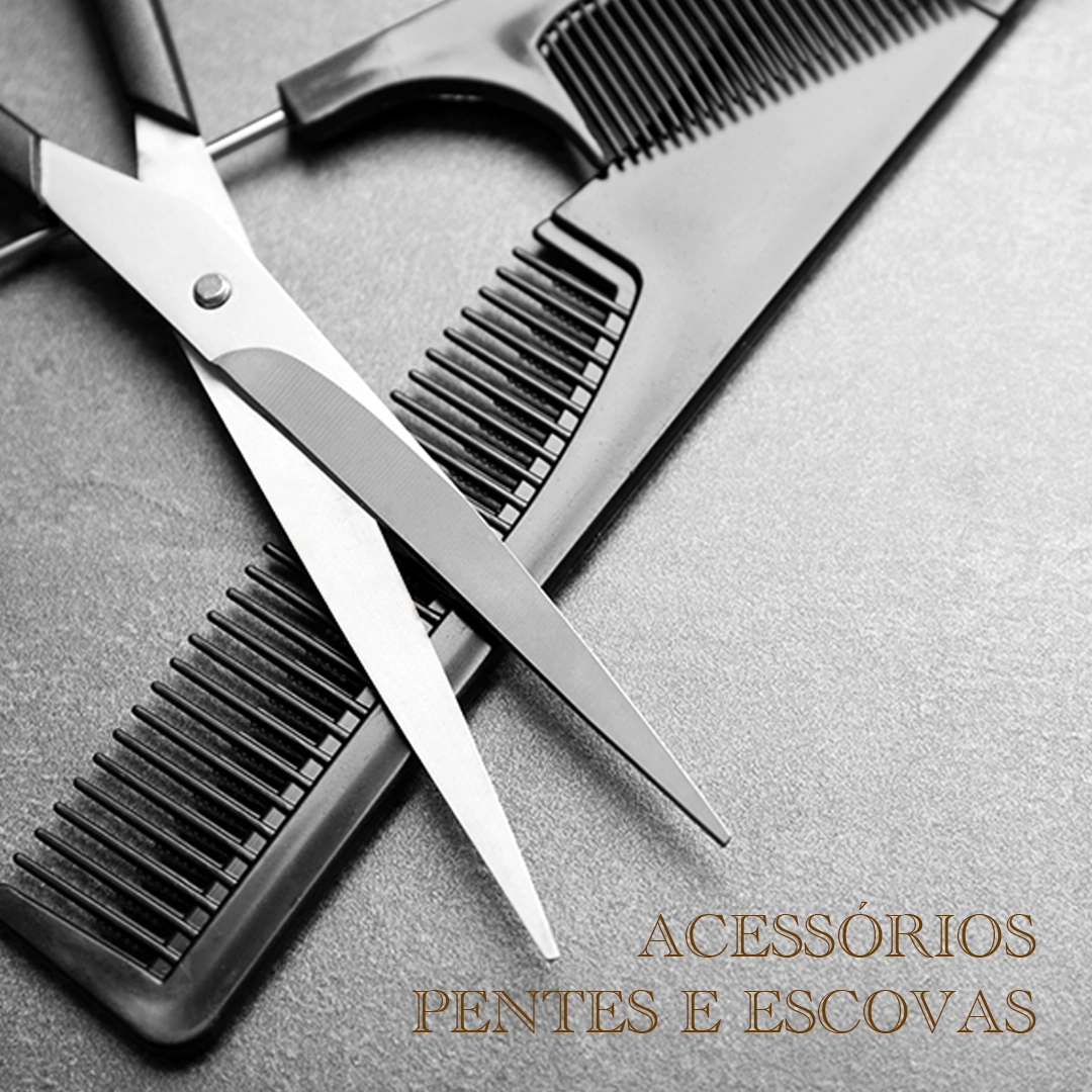 ACESSORIOS PENTES E ESCOVAS 1