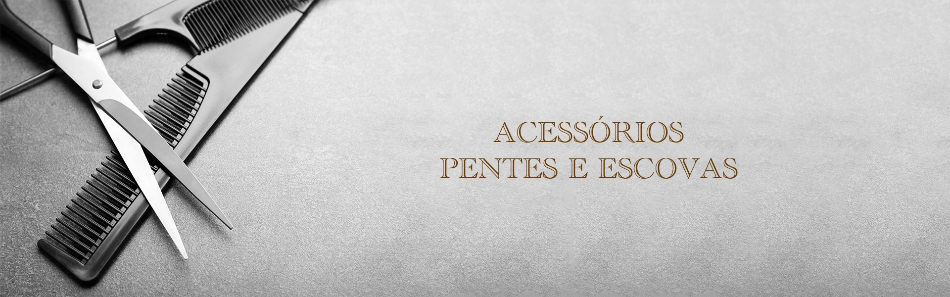 ACESSORIOS PENTES E ESCOVAS